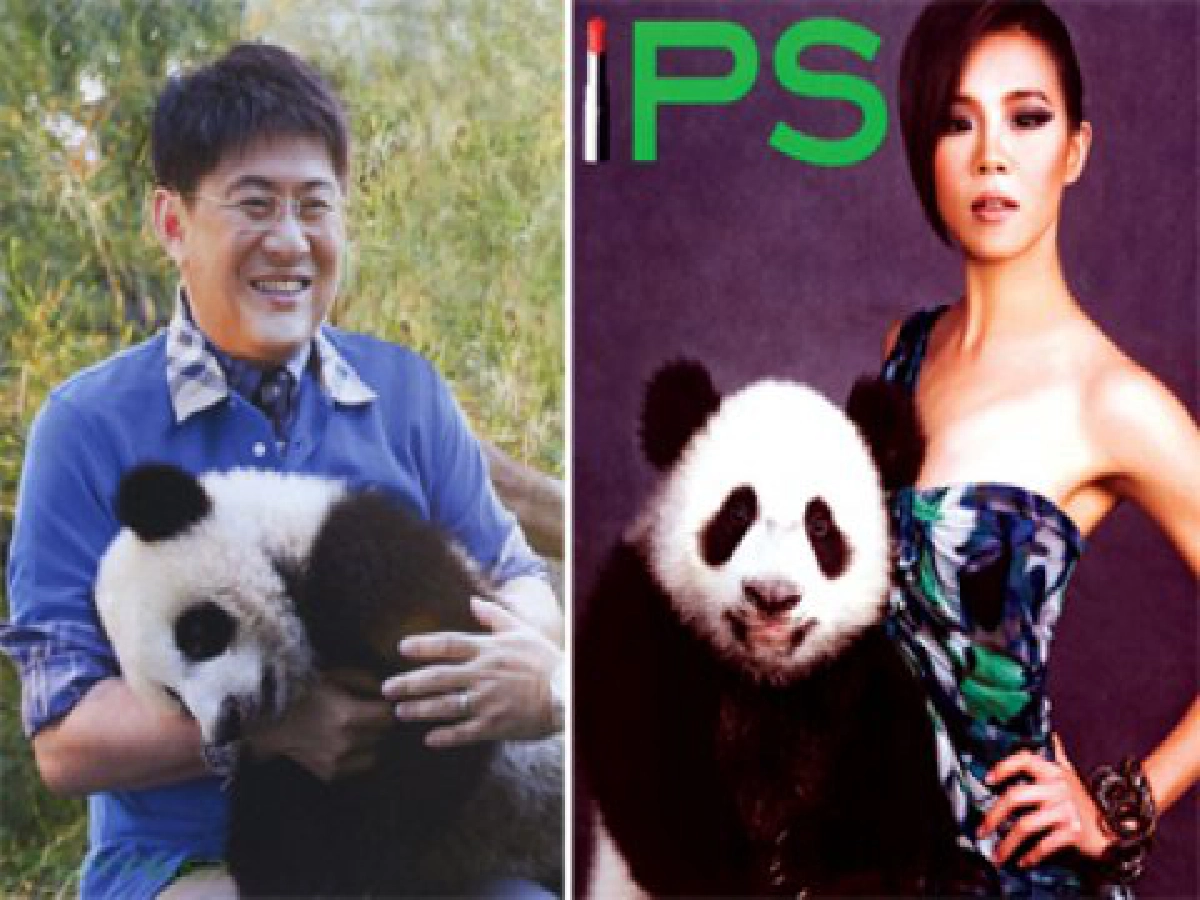 พากันหมองเมื่อมาเจอ "น้องหลินปิง"