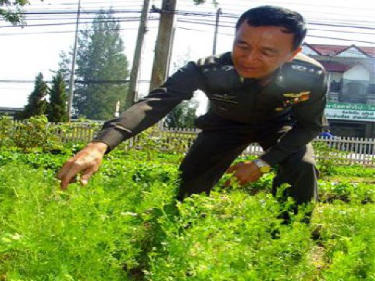 สารพันตำรวจ : 'จอมทอง' ฟาร์มวิลล์...ซื้อใจลูกน้อง สารพันตำรวจ : 'จอมทอง' ฟาร์มวิลล์...ซื้อใจลูกน้อง