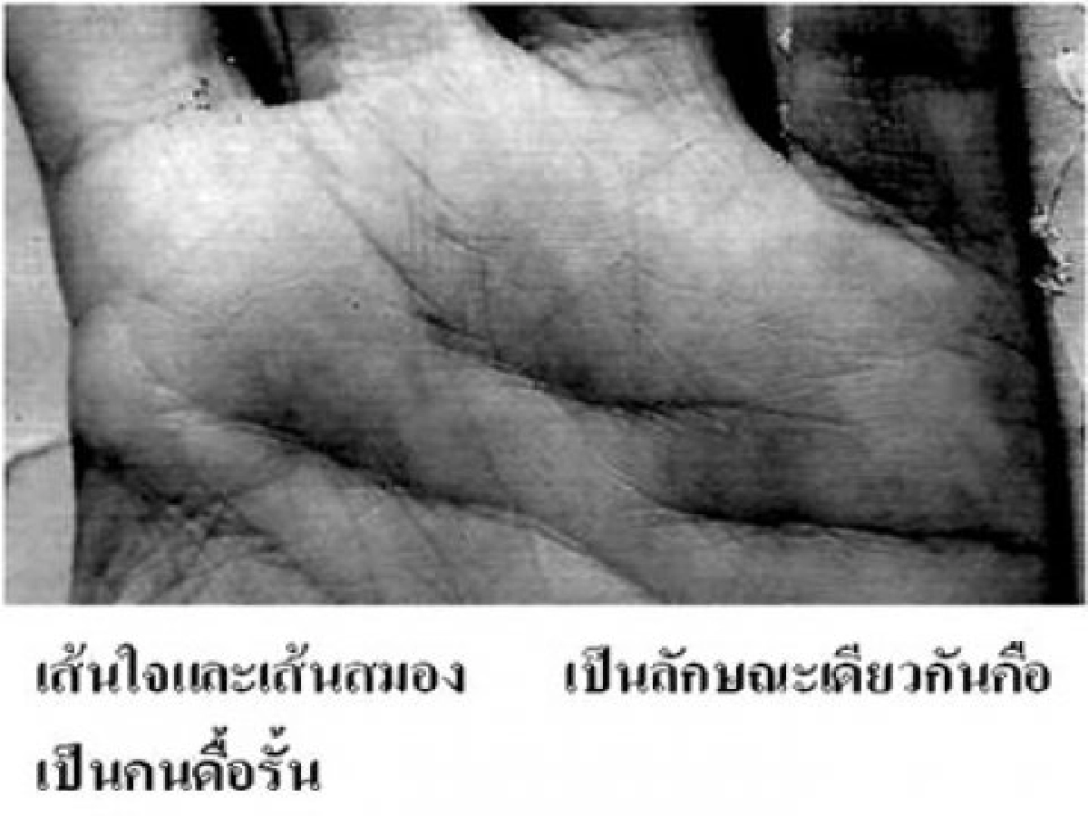 จะให้ลูกเรียนอะไรดี!? จะให้ลูกเรียนอะไรดี!?