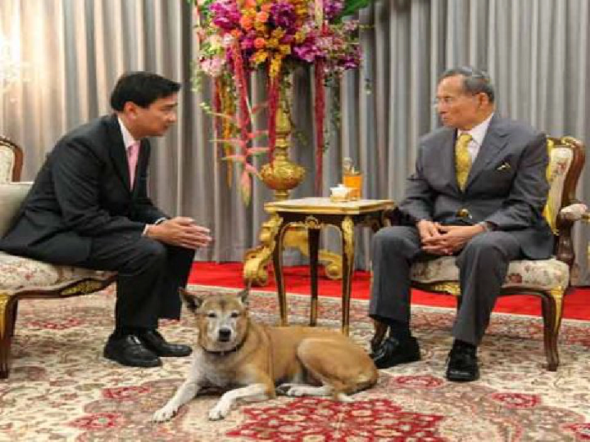 อภิสิทธิ์เข้าเฝ้าฯในหลวงถวายรายงานบ้านเมือง