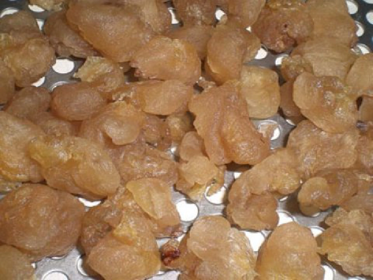 ใช้แสง"อินฟราเรด"อบแห้งลำไย
ย่นเวลาเท่าตัว-คุณภาพเต็มร้อย
ใช้แสง"อินฟราเรด"อบแห้งลำไย
ย่นเวลาเท่าตัว-คุณภาพเต็มร้อย