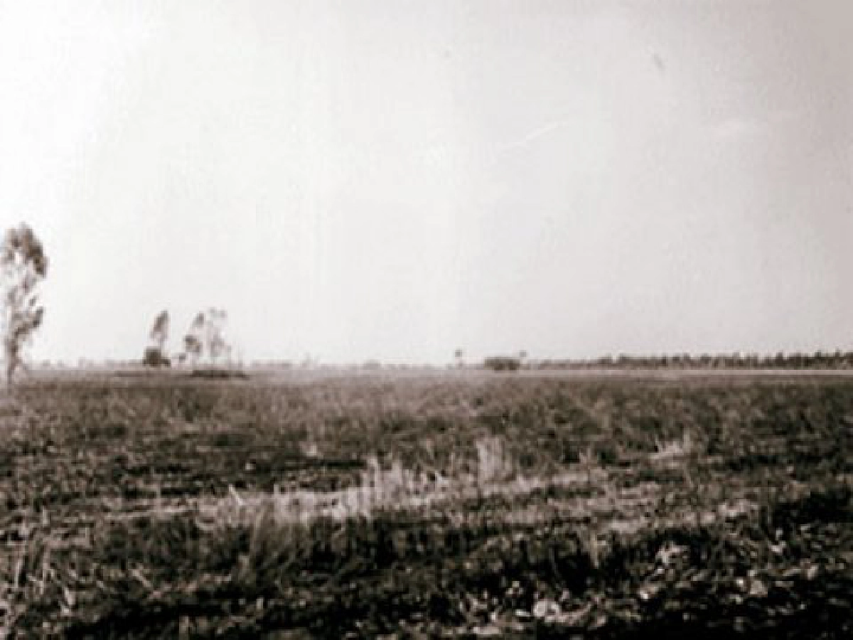 โพนขี้นกชี้ว่าทุ่งกุลาเป็นทะเลมาก่อน โพนขี้นกชี้ว่าทุ่งกุลาเป็นทะเลมาก่อน