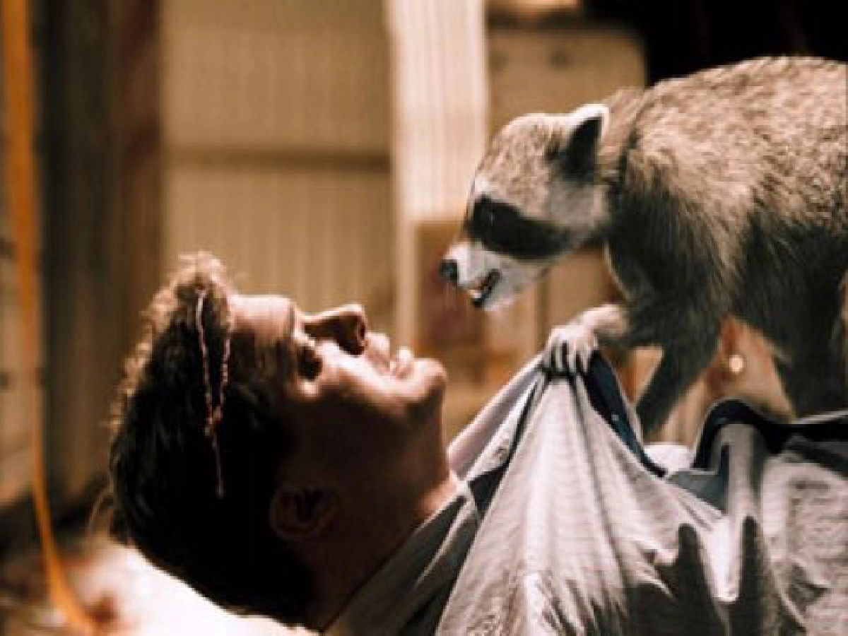 "เบรนแดน เฟรเซอร์" ขึ้นแท่นโปรดิวเซอร์ 
ใน "Furry Vengeance"
