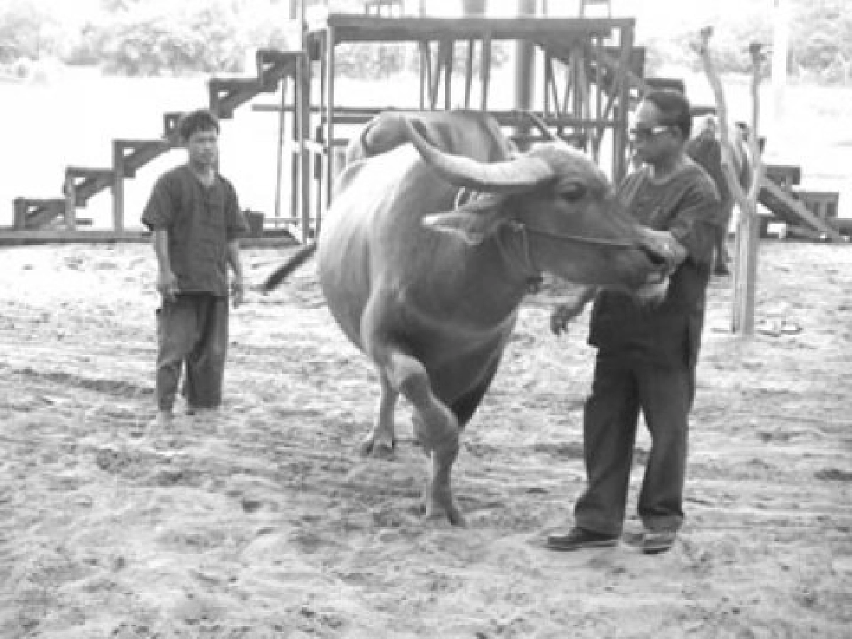 โซนรักสัตว์ประจำวันอาทิตย์ 30 พ.ค.53 โซนรักสัตว์ประจำวันอาทิตย์ 30 พ.ค.53