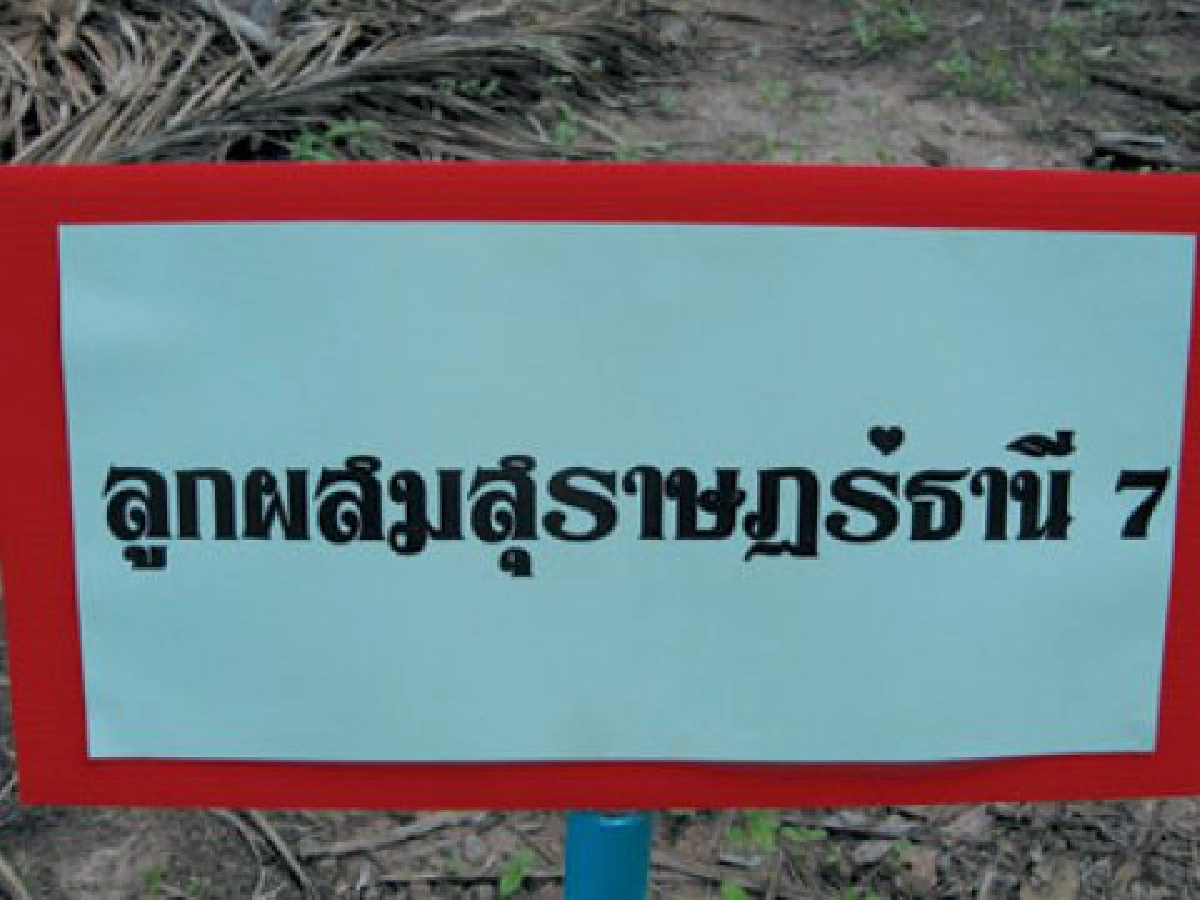 จาก"หิ้งสู่ห้าง"วิจัยเพื่อชาวบ้าน 

