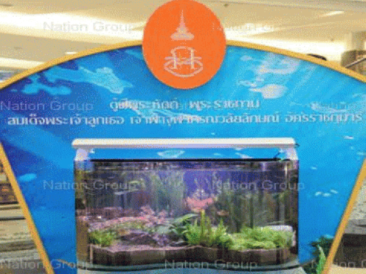 ตู้ปลาฝีพระหัตถ์"ฟ้าหญิงจุฬาภรณ์" ตู้ปลาฝีพระหัตถ์"ฟ้าหญิงจุฬาภรณ์"