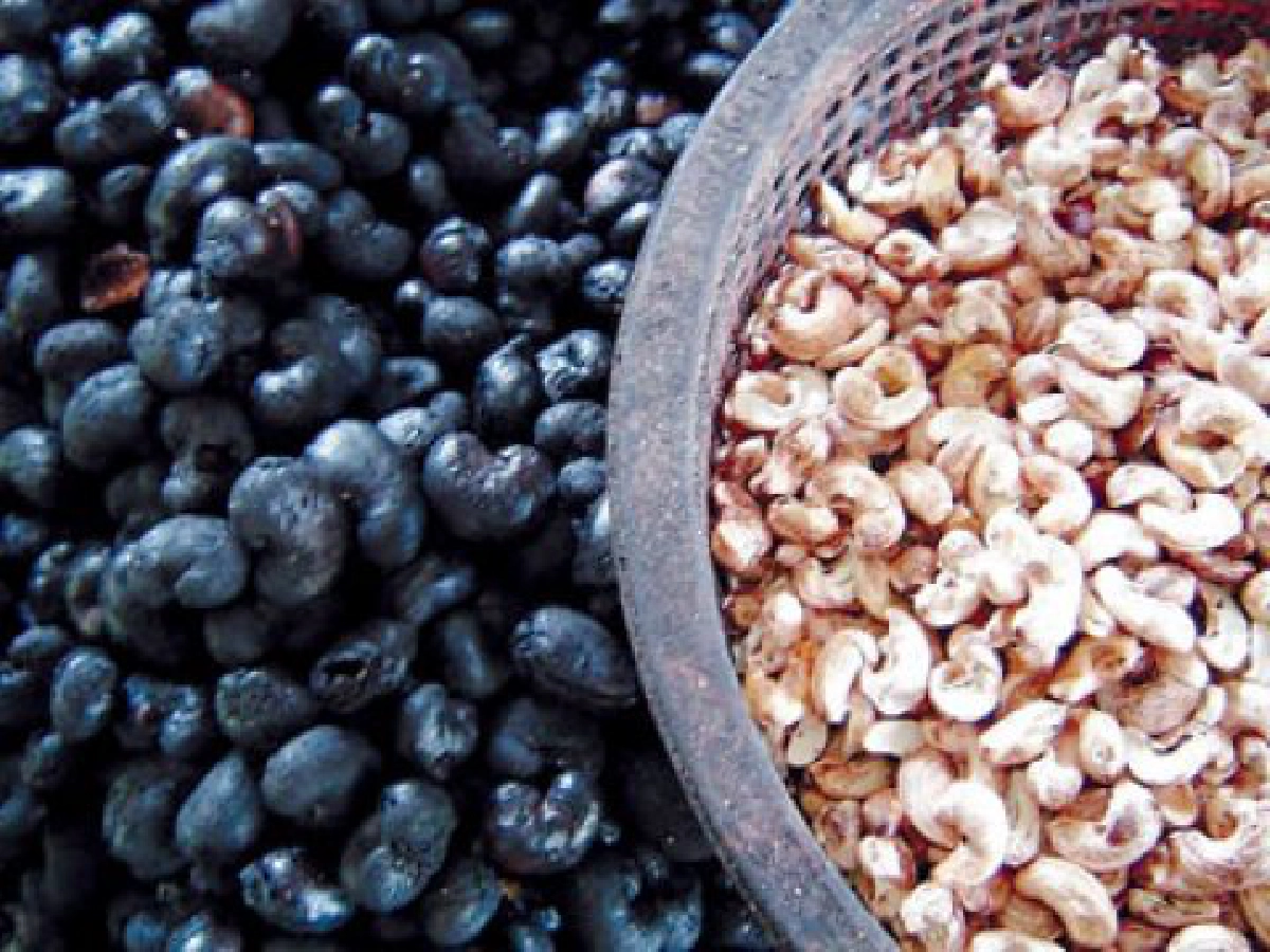 เม็ดมะม่วงคั่วแบบโบราณ
สแน็คพื้นบ้าน-ขายดีทั่วไทย

