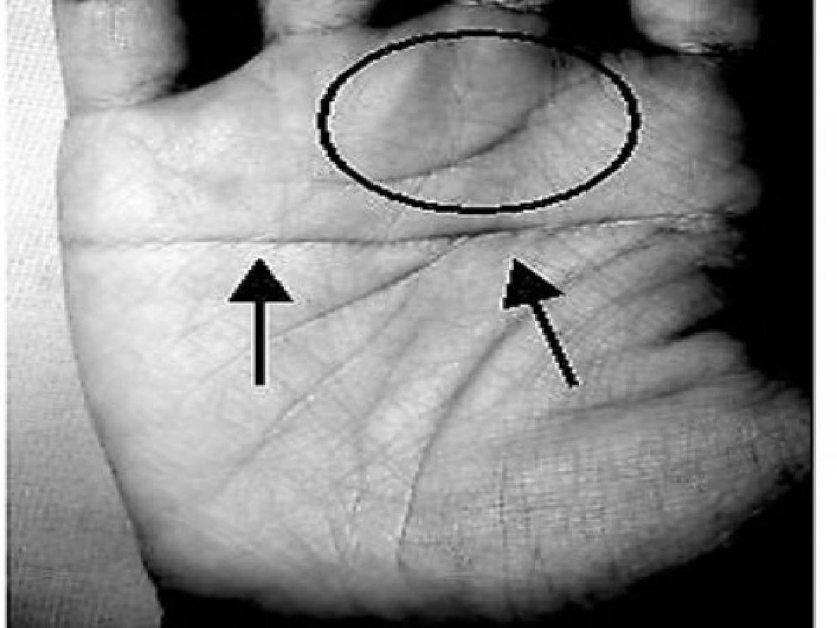 สาวน้อยริอาจจับปลาสองมือ สาวน้อยริอาจจับปลาสองมือ