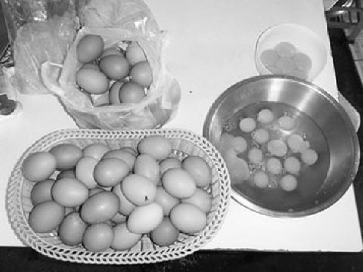 คนหัวไข่ คนหัวไข่