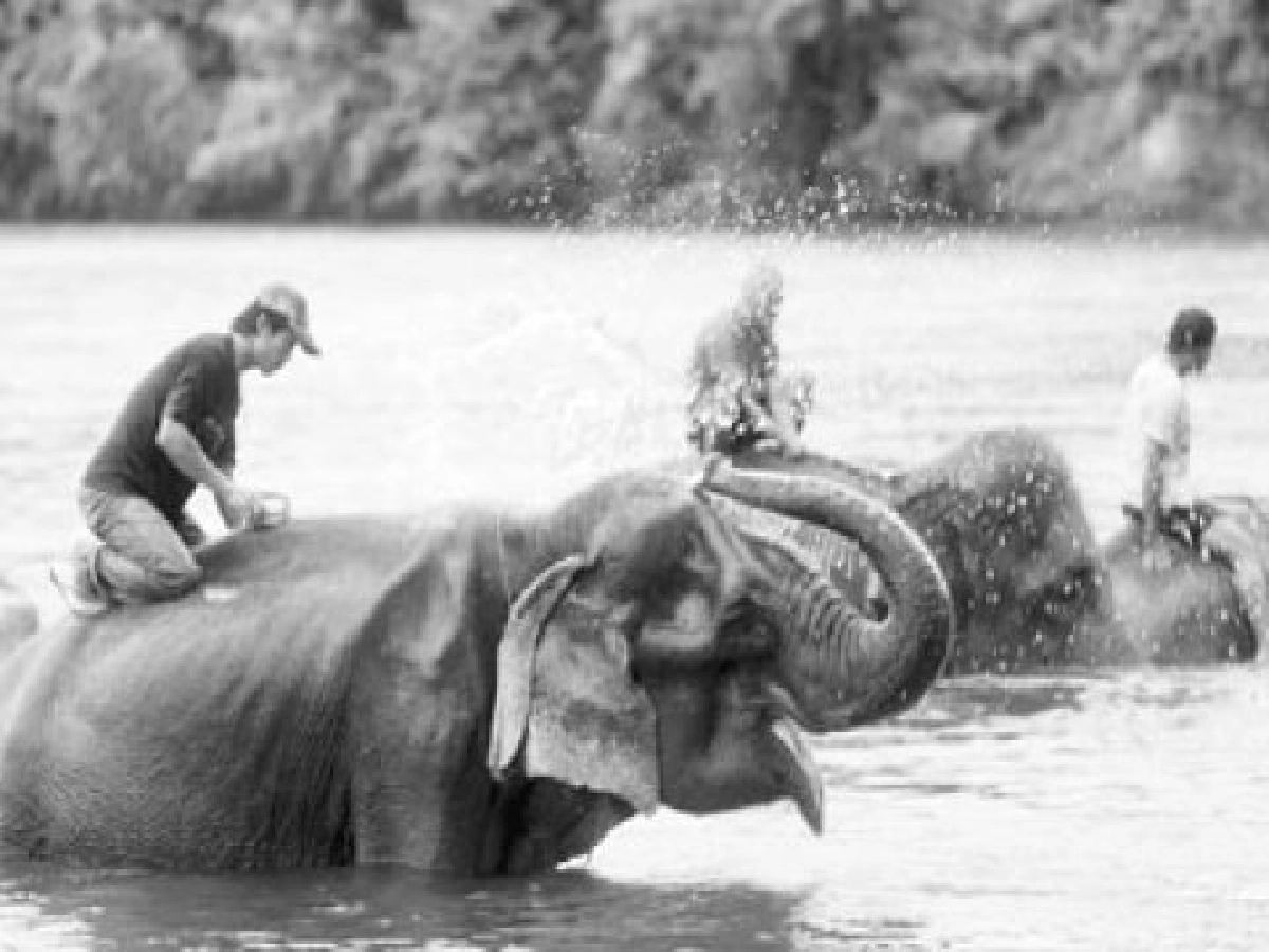 โซนรักสัตว์ประจำวันอาทิตย์ 1 ส.ค.53