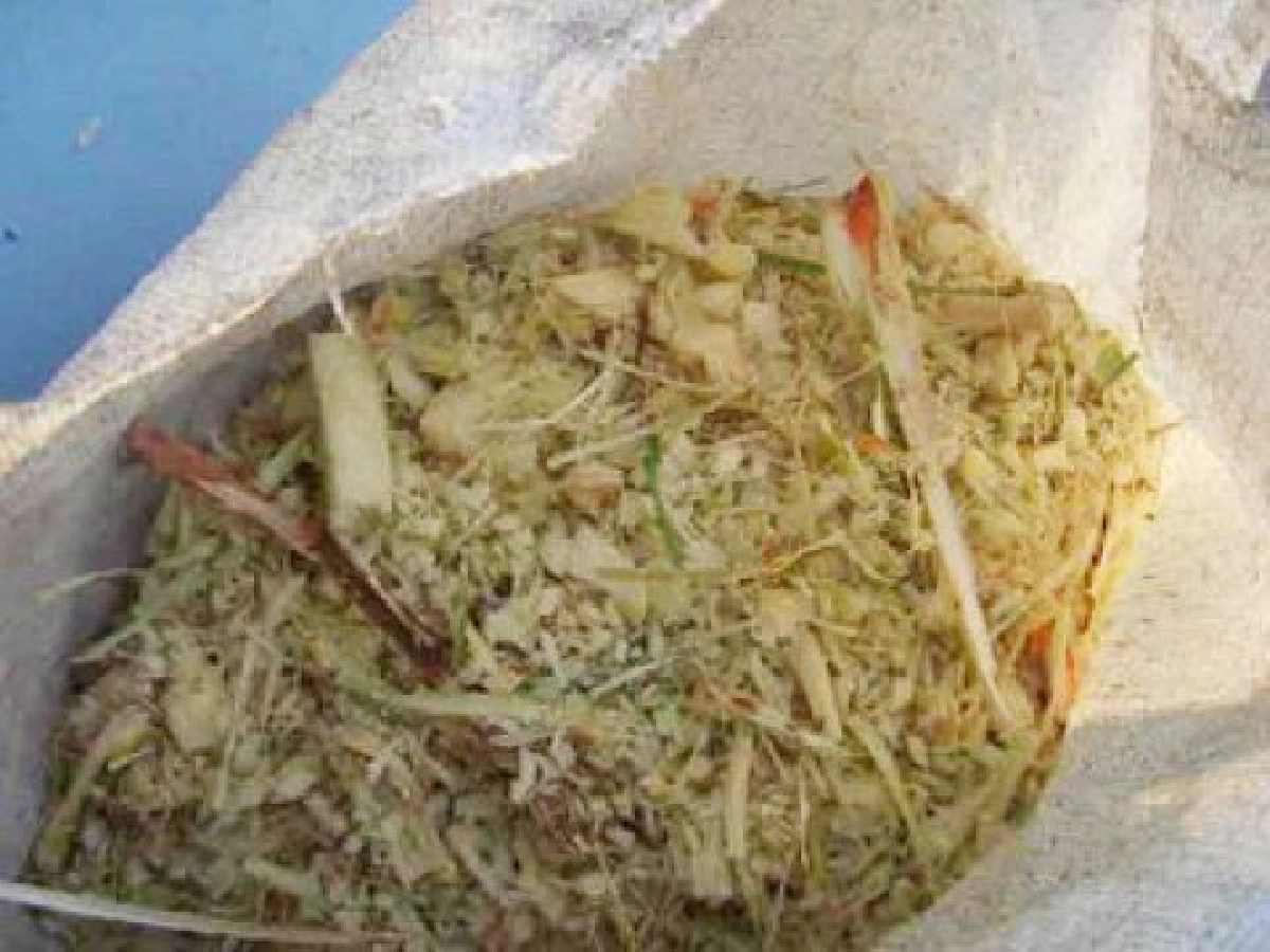 อ้อยโคลน" อาหารสัตว์พันธุ์แรก 
เพื่อเกษตรกรเลี้ยงโค-แพะ-แกะ

