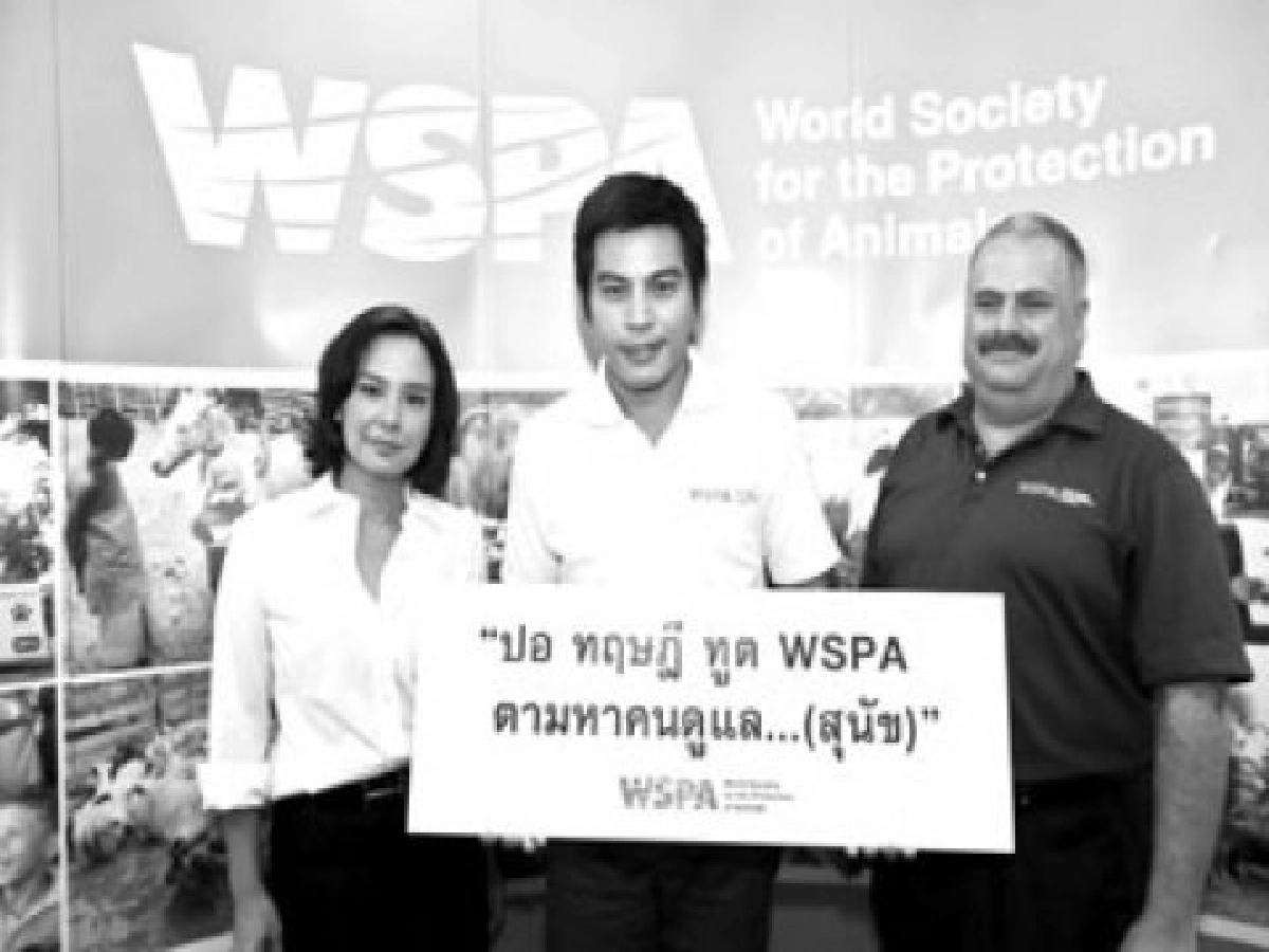 ฃโซนรักสัตว์ประจำวันอาทิตย์ที่15ส.ค.53 ฃโซนรักสัตว์ประจำวันอาทิตย์ที่15ส.ค.53