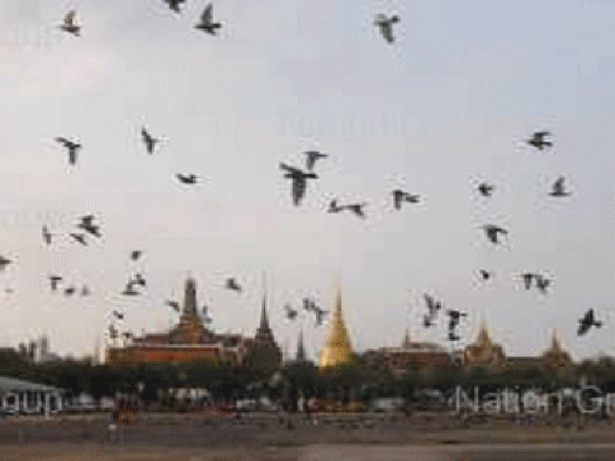สภาที่ปรึกษาเศรษฐกิจและสังคมฯ...ทำอะไรอยู่ ? สภาที่ปรึกษาเศรษฐกิจและสังคมฯ...ทำอะไรอยู่ ?