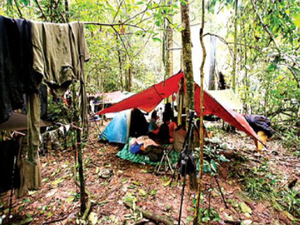 อีกครั้ง...กับการเดินทางที่ท้าทาย"ป่ามรดกโลก ลาวใต้" อีกครั้ง...กับการเดินทางที่ท้าทาย"ป่ามรดกโลก ลาวใต้"