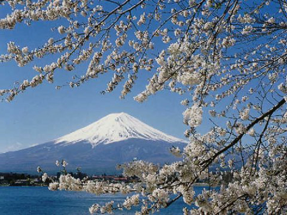 ก้าวที่ถอยหลังลงคลองของการศึกษาญี่ปุ่น (2)