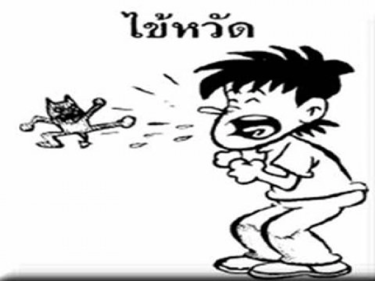 รู้ไว้ ห่างไกลไข้หวัดใหญ่