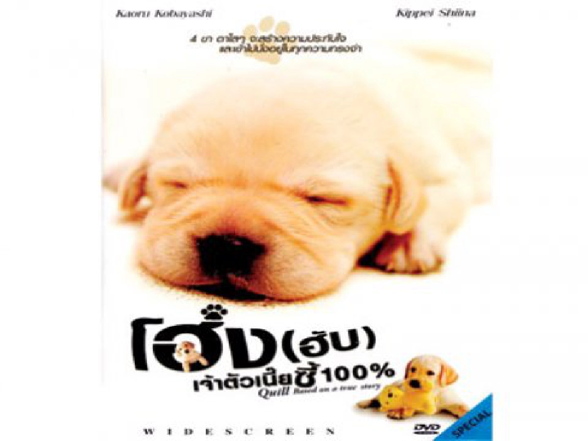 เสิร์ฟข่าวเม้าท์แตก (พุธที่ 15 ก.ย.53)
เสิร์ฟข่าวเม้าท์แตก (พุธที่ 15 ก.ย.53)