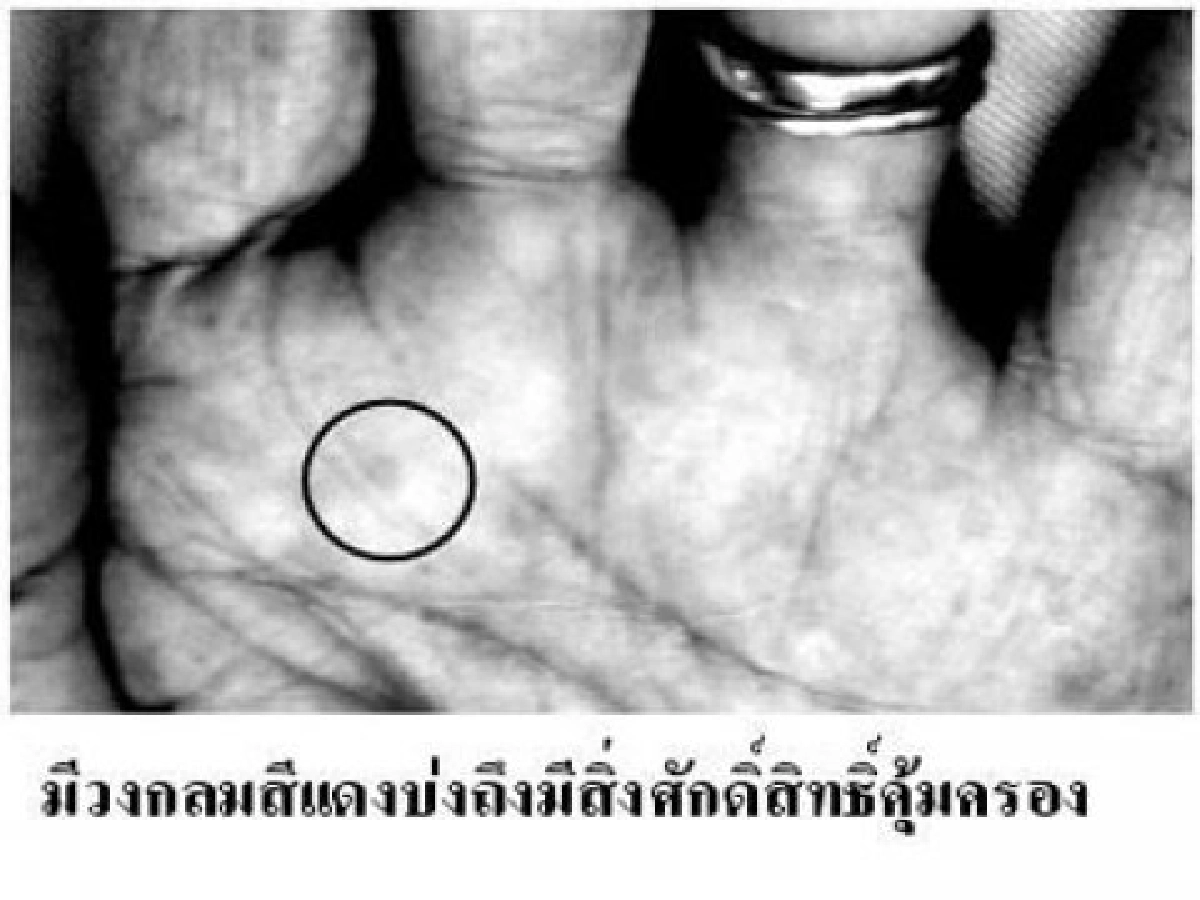คุณหญิงสุรีพันธุ์ มณีวัตมีพระธาตุฯมากที่สุด 