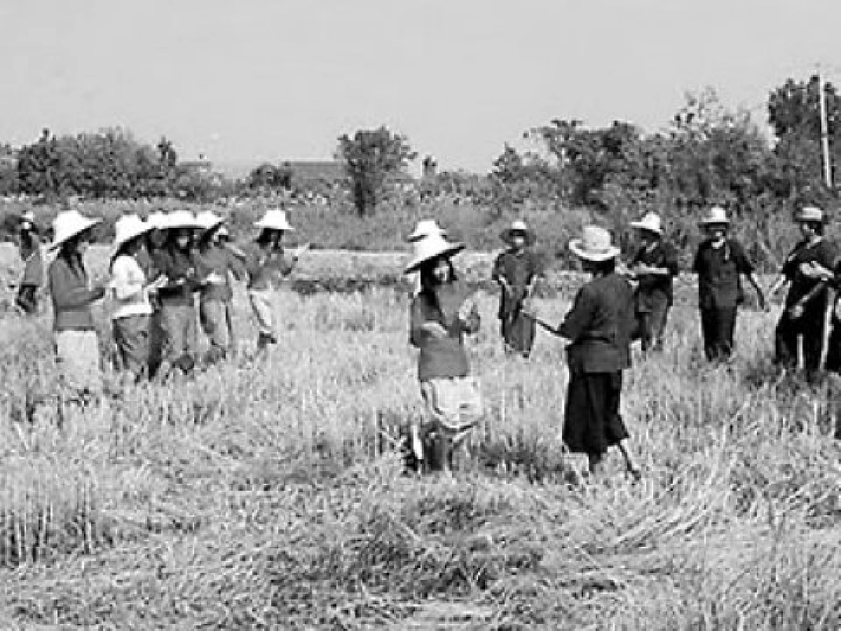 เล่าสู่กันฟัง-สื่อพื้นบ้าน อีกทางเลือกในการสร้างสายใยสมานฉันท์ เล่าสู่กันฟัง-สื่อพื้นบ้าน อีกทางเลือกในการสร้างสายใยสมานฉันท์