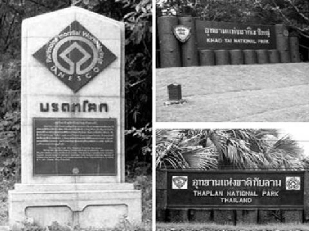 แบ่งปันการเรียนรู้ประจำวันที่2ต.ค.