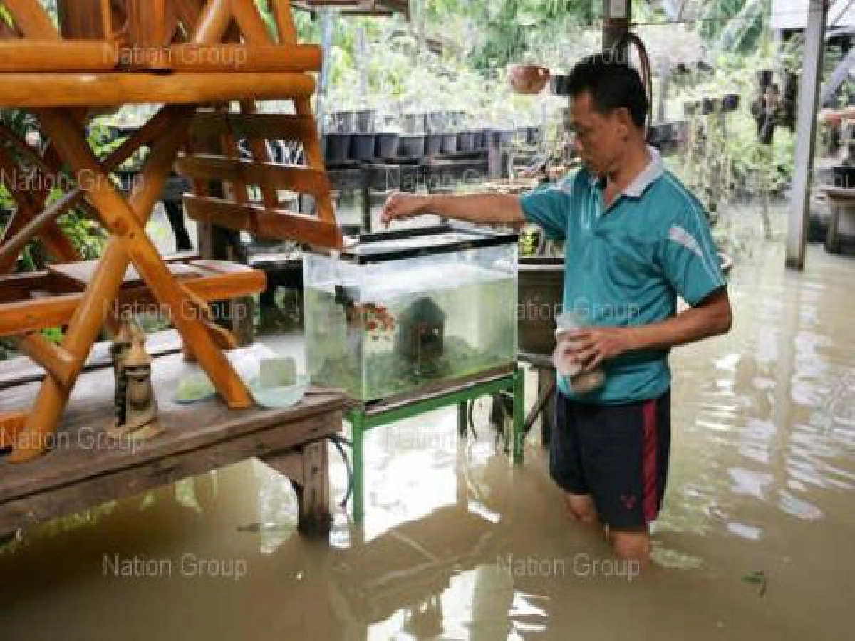 ขสมก.จัดรถเมล์ฟรี3จุดรับผู้ประสบอุทกภัย ขสมก.จัดรถเมล์ฟรี3จุดรับผู้ประสบอุทกภัย