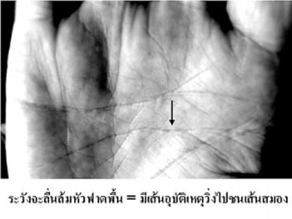 องอาจ คล้ามไพบูลย์ องอาจ คล้ามไพบูลย์