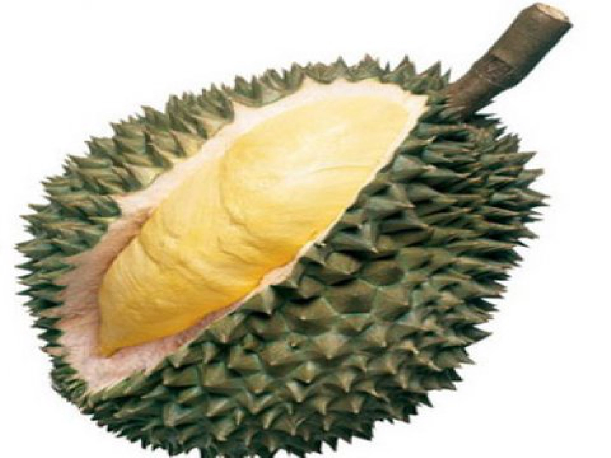 น้ำท่วม..ฤาถึงคราวิกฤติ"ทุเรียนนนท์" น้ำท่วม..ฤาถึงคราวิกฤติ"ทุเรียนนนท์"