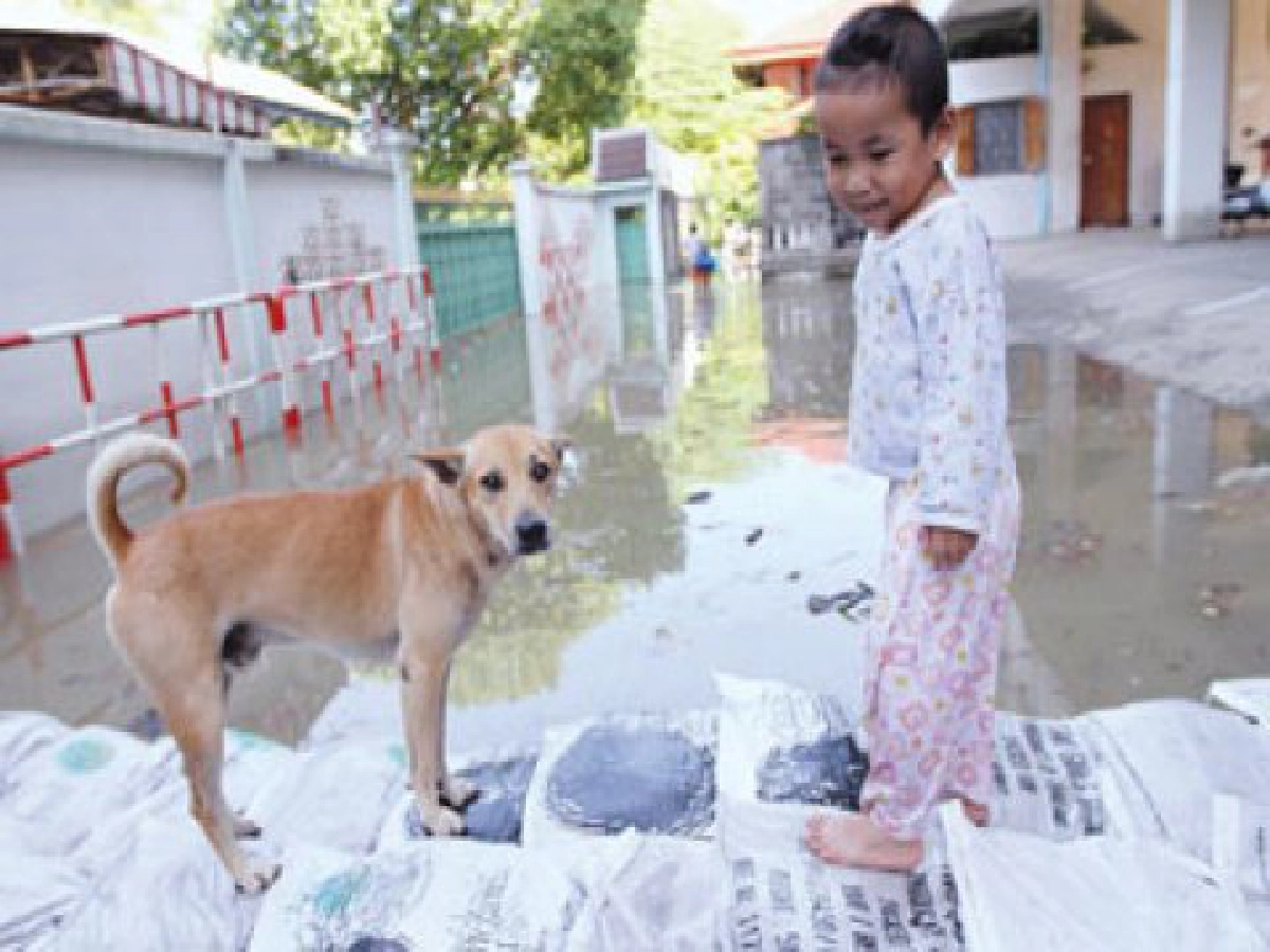 การเมืองต่ำทราม