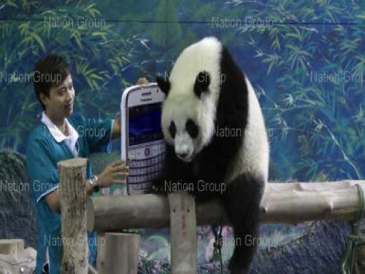 หลินปิงชวนคนไทยส่งSMSช่วยน้ำท่วม หลินปิงชวนคนไทยส่งSMSช่วยน้ำท่วม