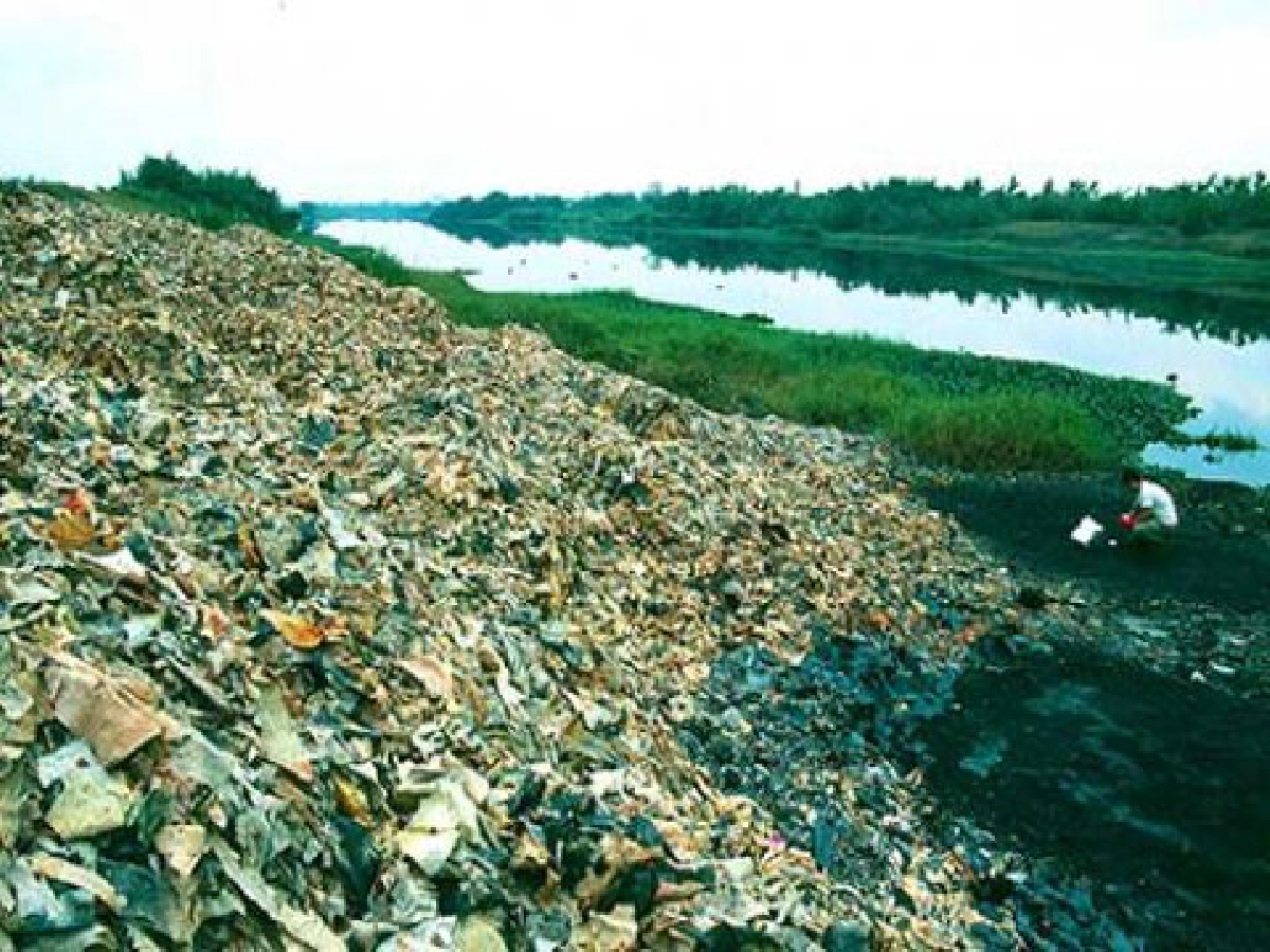แนวรุกใหม่ของนักอนุรักษ์สิ่งแวดล้อม แนวรุกใหม่ของนักอนุรักษ์สิ่งแวดล้อม