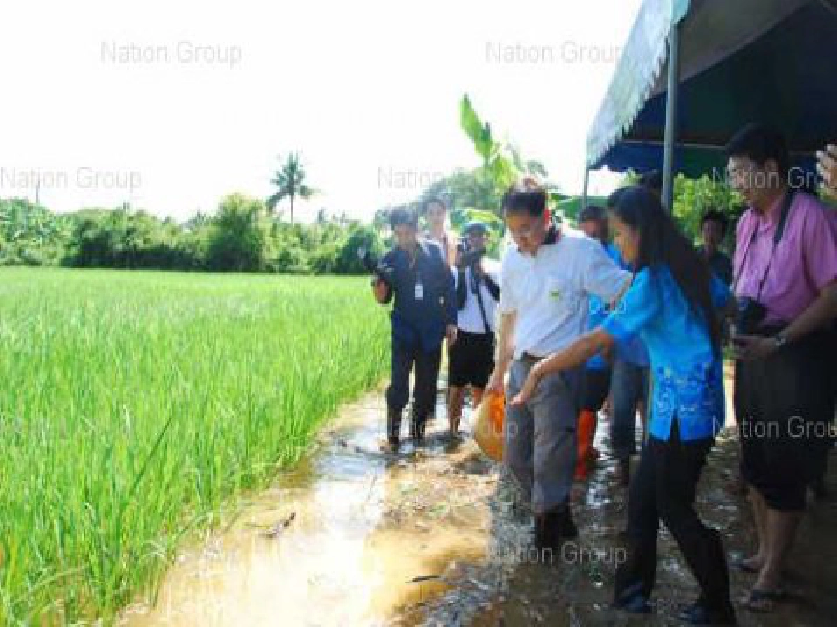 รมว.วิทย์ลุยอยุธยาโชว์นาข้าวทนน้ำท่วม รมว.วิทย์ลุยอยุธยาโชว์นาข้าวทนน้ำท่วม