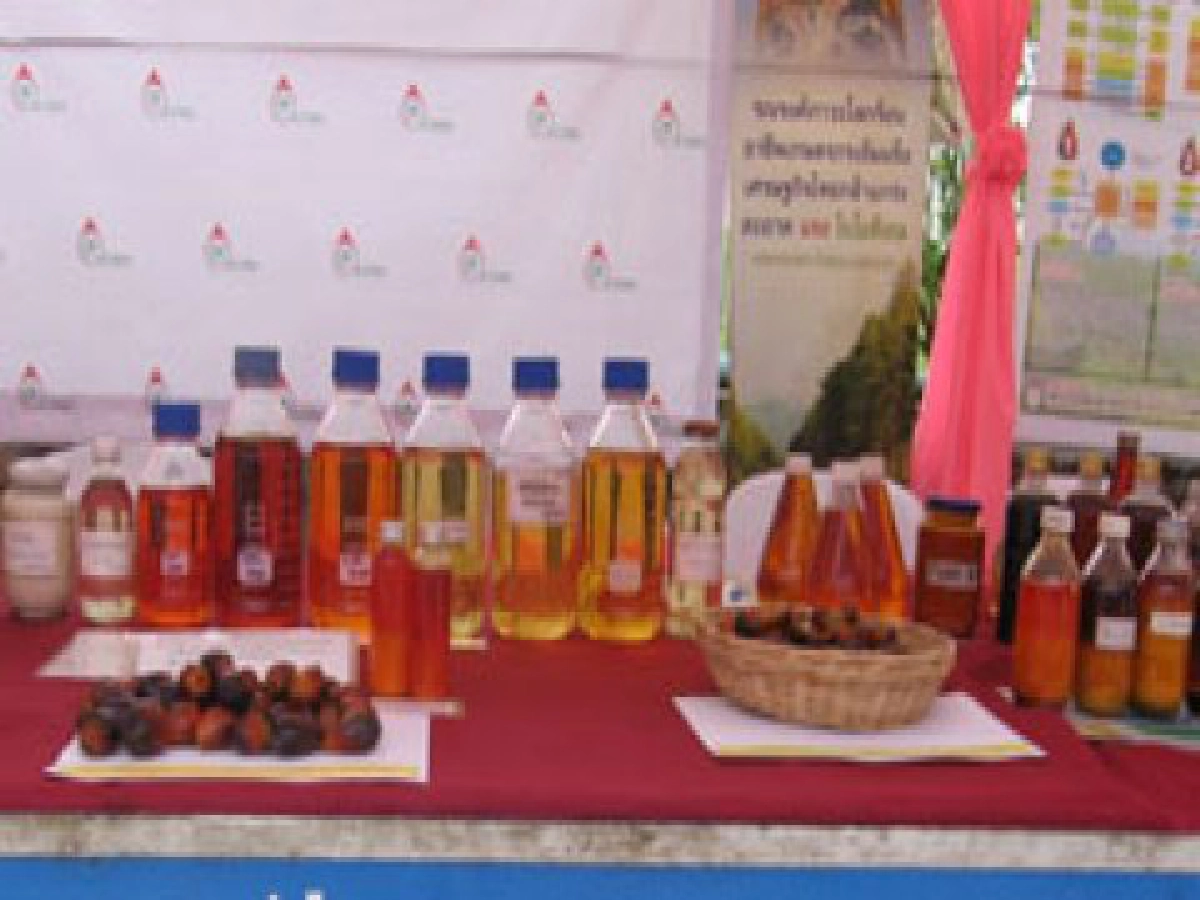 งานวิจัยปาล์มชุมชนสู่เชิงพาณิชย์

