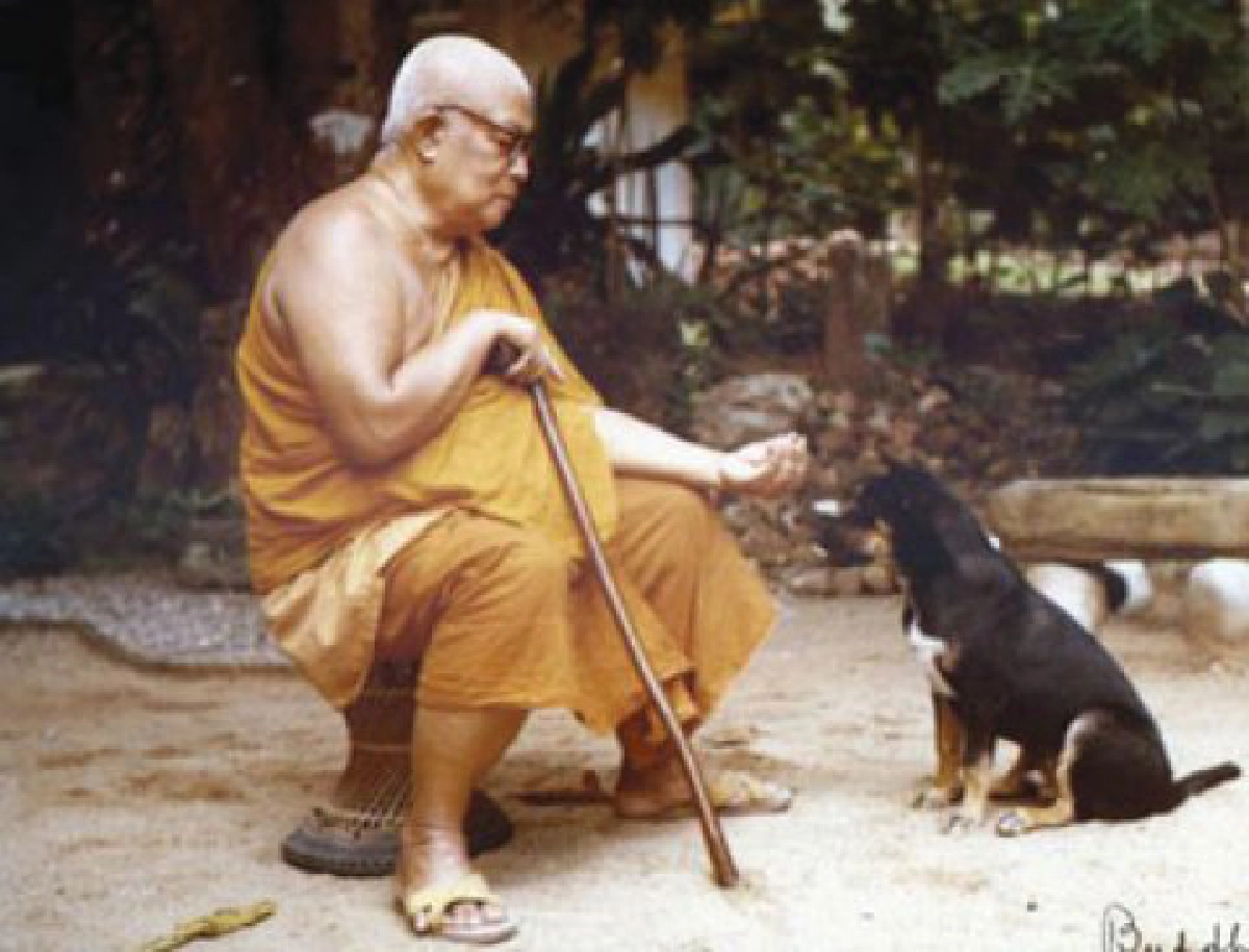 พึ่งตนพึ่งธรรม-พระดังคิวยาว