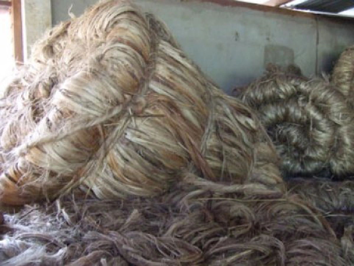 หลากผลิตภัณฑ์แฟชั่น"ใยปอ"
งานทำเงินกลุ่มแม่บ้านตอกแป้น

