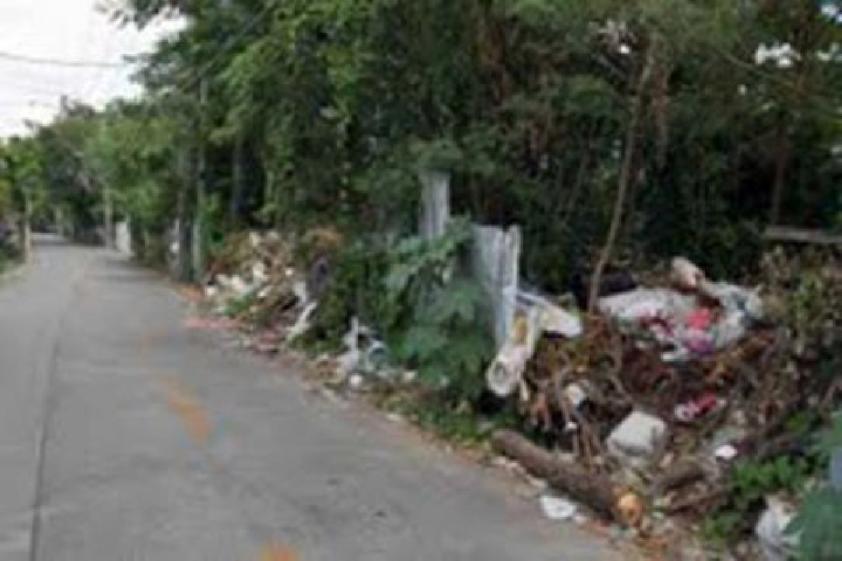 ขยะล้นถนน ขยะล้นถนน