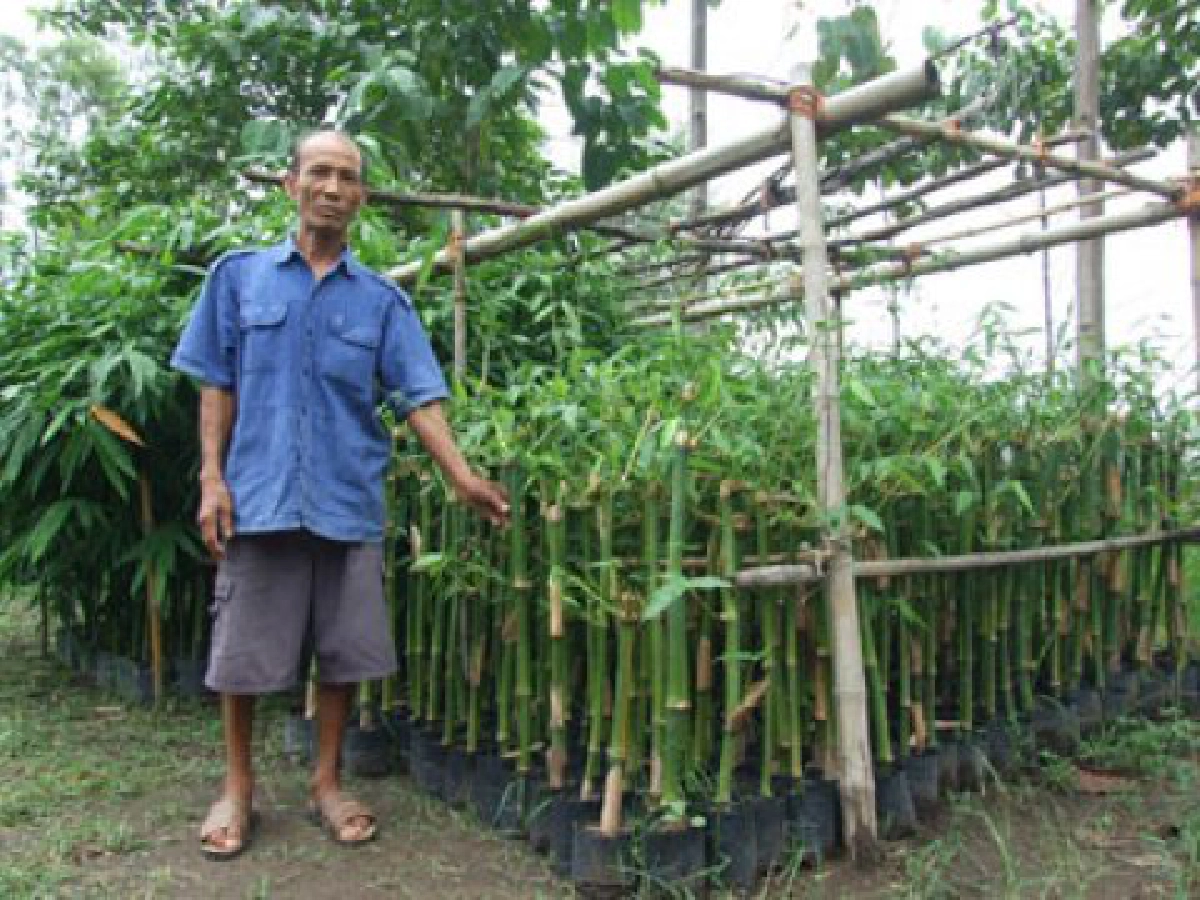 ไผ่กิมซุงฟื้นวิถีชีวิต "แทน รักคุณ"
ไผ่กิมซุงฟื้นวิถีชีวิต "แทน รักคุณ"