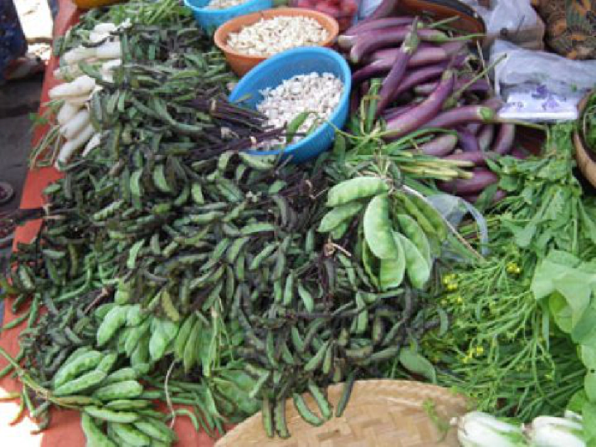 ศิลปะแห่งแผ่นดิน - ตลาดสดในฝัน
ศิลปะแห่งแผ่นดิน - ตลาดสดในฝัน