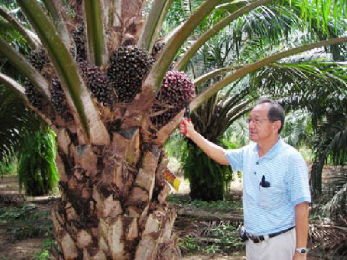"เอนก ลิ่มศรีวิไล" นักปรับปรุงพันธุ์พืชดีเด่นปี 2553
"เอนก ลิ่มศรีวิไล" นักปรับปรุงพันธุ์พืชดีเด่นปี 2553