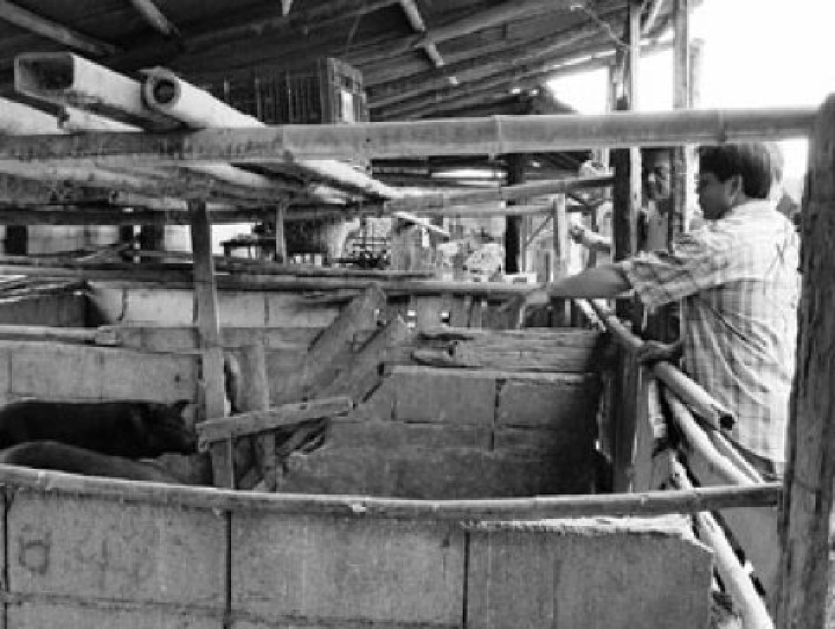 เยี่ยม"บ้านทุ่งขาม"หมู่บ้านพอเพียงต้นแบบเกษตรยั่งยืนที่เมืองรถม้า