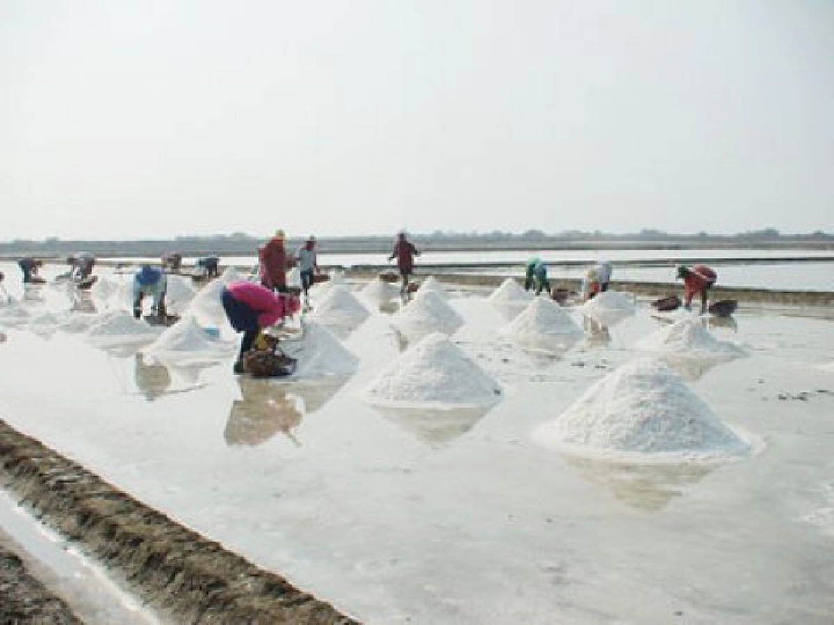 เสียงสะท้อนจากเกษตรกรเมืองเพชร
ขอปฏิเสธยกนาเกลือสู่การทำเหมือง
เสียงสะท้อนจากเกษตรกรเมืองเพชร
ขอปฏิเสธยกนาเกลือสู่การทำเหมือง