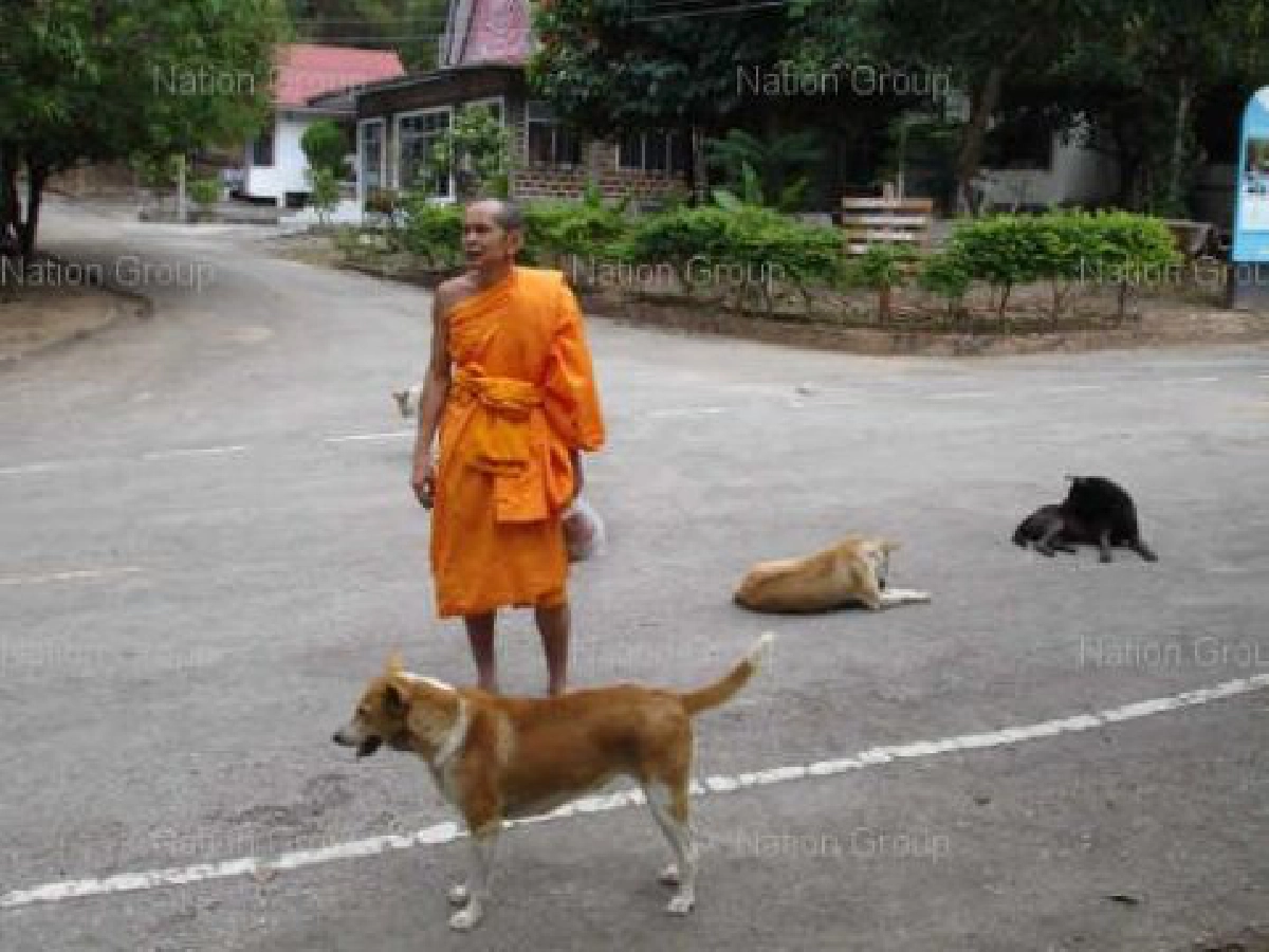 แฉ2ด.เปิบพิสดารหมาแก้หนาว100ตัว แฉ2ด.เปิบพิสดารหมาแก้หนาว100ตัว