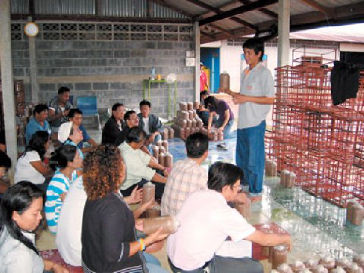 อบรมเพาะเห็ด "โคนญี่ปุ่น" เชิงธุรกิจ อบรมเพาะเห็ด "โคนญี่ปุ่น" เชิงธุรกิจ