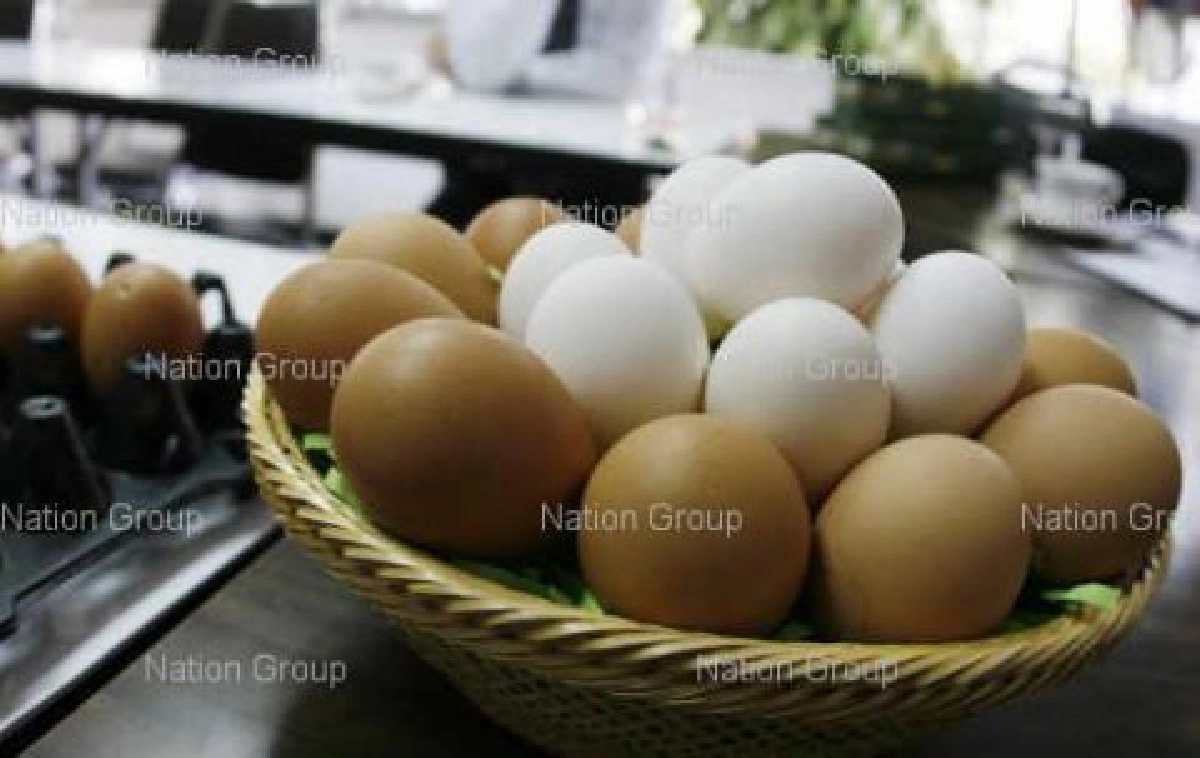 พรทิวาขอ3เดือนประเมินไข่ชั่งกิโลฯ พรทิวาขอ3เดือนประเมินไข่ชั่งกิโลฯ