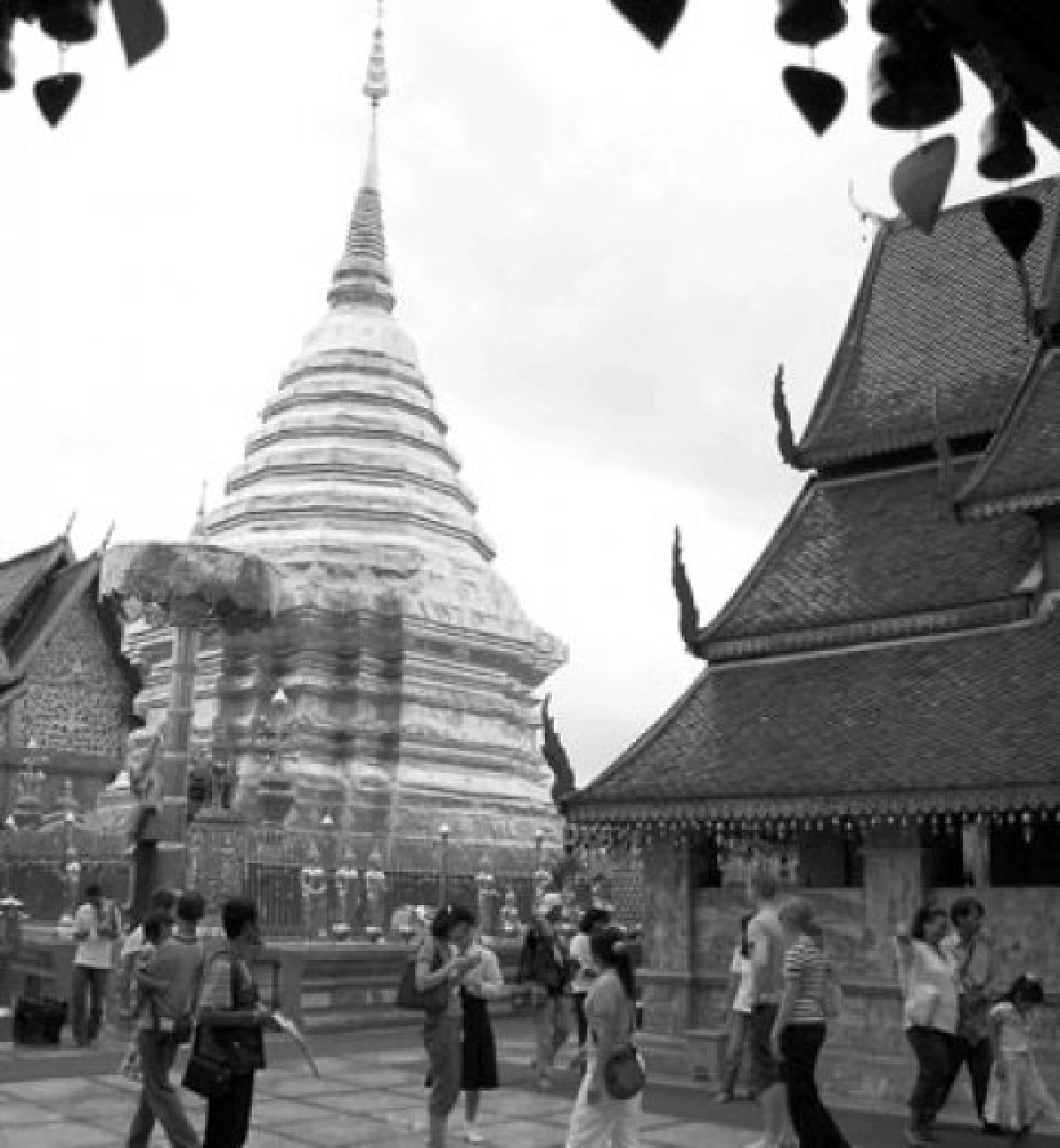  ตอน...เจียงใหม่ของฮามีไหน