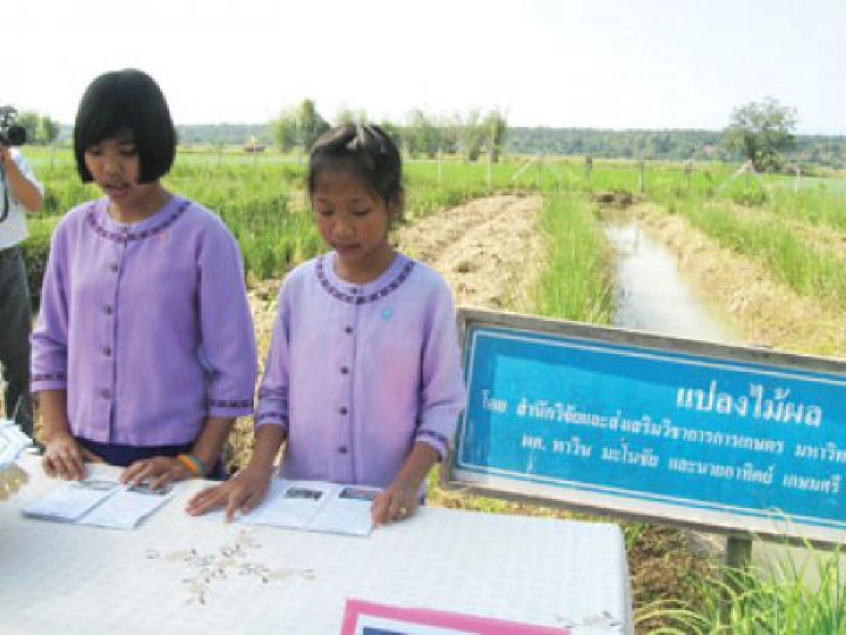 คนรุ่นใหม่กับอาชีพ"เกษตรกรรม"
คนรุ่นใหม่กับอาชีพ"เกษตรกรรม"