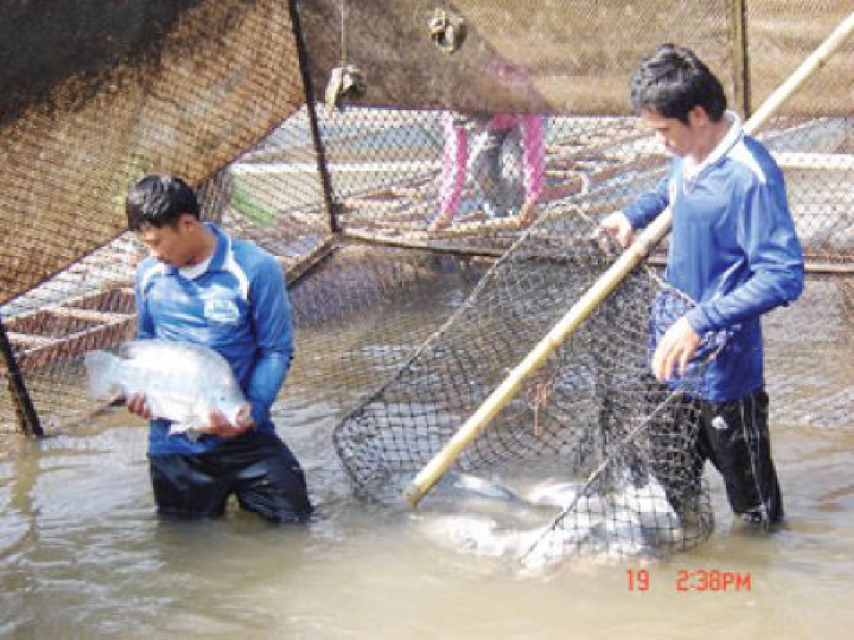 ยึดริมแม่น้ำโขงเลี้ยงปลาในกระชัง
รายได้งามวันละกว่า 1.7 แสนบาท

