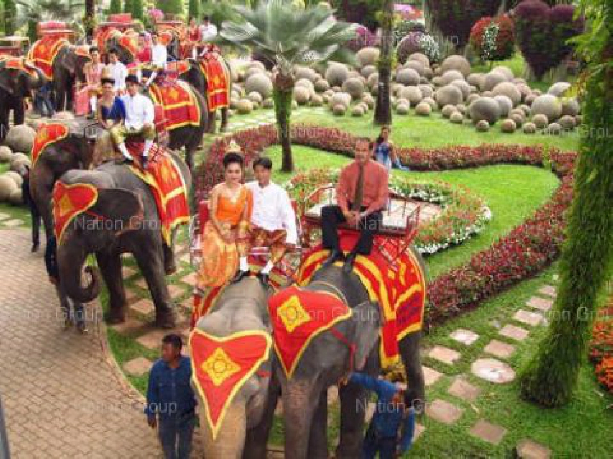 สวนนงนุชจดทะเบียนบนหลังช้าง 