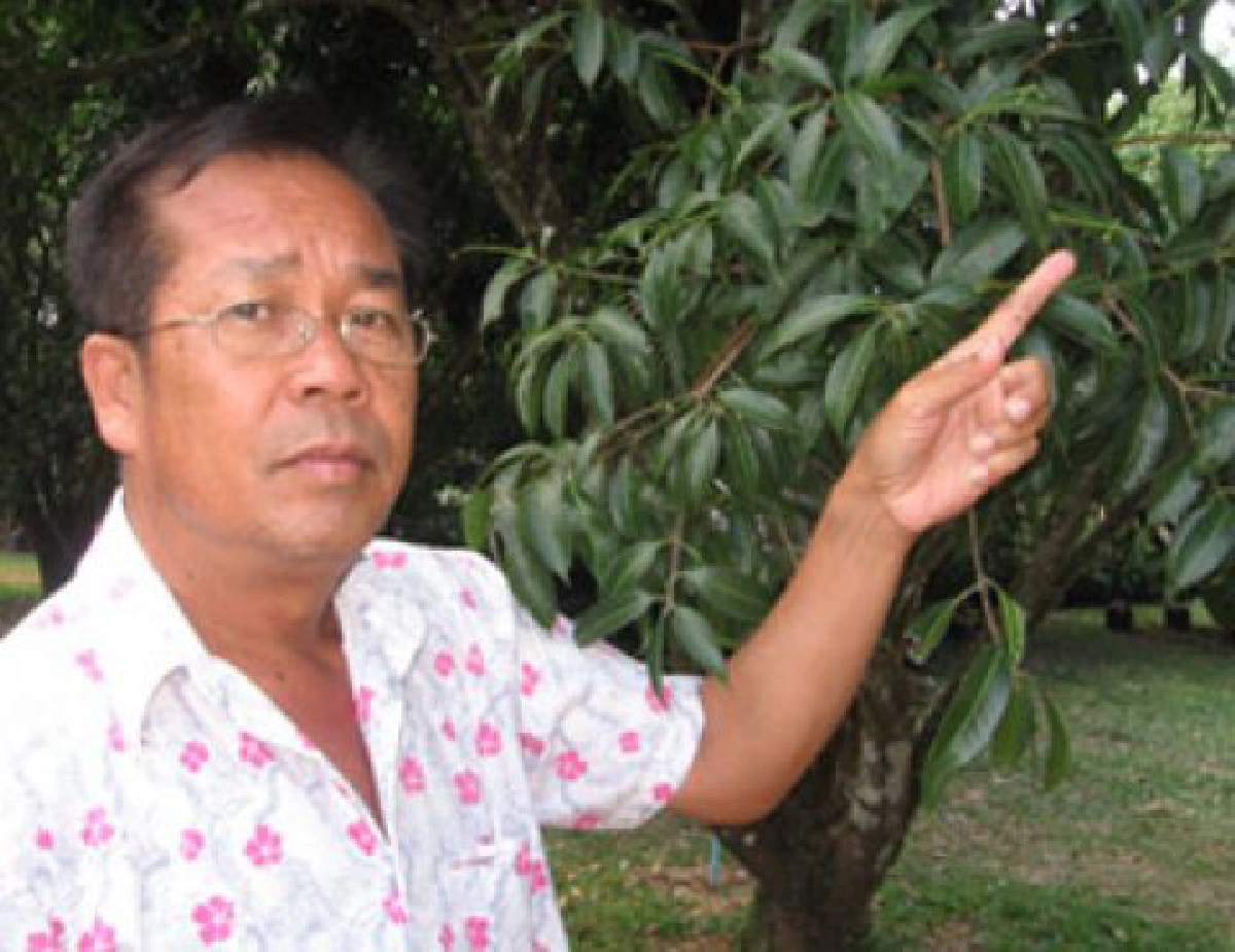 ลุยสวน"มะยงชิด"นครนายก(2)ดูวิธีทำ"ผลไม้แฟนซี"ที่สวนศรียา