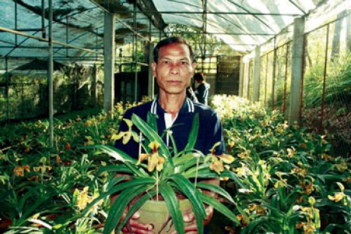 คืนกล้วยไม้ "รองเท้านารีอินทนนท์"
สู่ธรรมชาติที่ขุนยวมกว่า 1ล้านต้น

