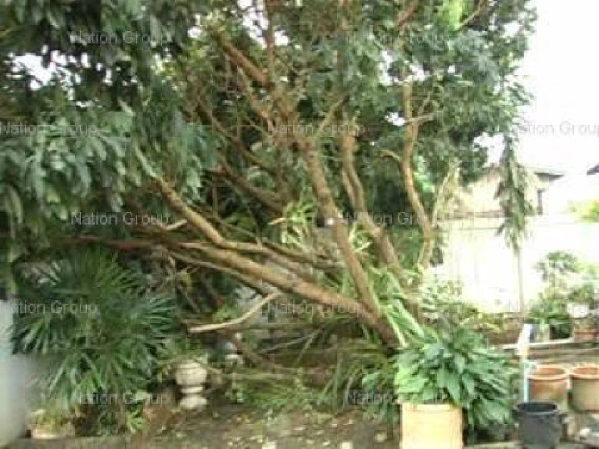 พายุซัดลำปางบ้านเรือนหลังคาปลิวว่อน พายุซัดลำปางบ้านเรือนหลังคาปลิวว่อน